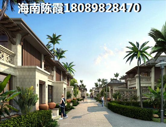 山东淄博2024的发展前景在哪里（淄博未来发展方向）